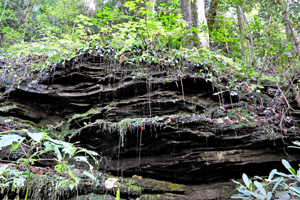 water dripping down ledges